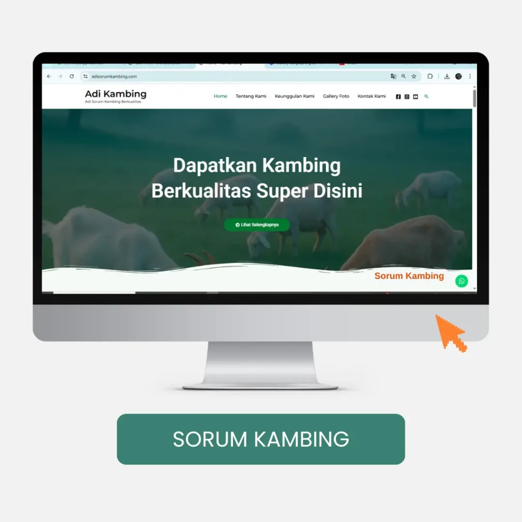 Jasa Web Kangcep Digital-3